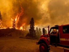 Калифорнийн ой хээрийн түймрийн улмаас онц байдал зарлалаа