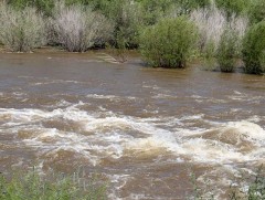 Зарим голын усны түвшин өмнөх өдрийнхөөс 10-25 см нэмэгджээ 