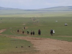 Б.Нямжавын хээр азарга түрүүлж, торгон жолоогоо өргүүллээ