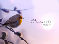 Өглөөний мэнд: Зуны амралтын сонин сайхнаас...