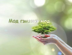 Мод гэмээнэ мод