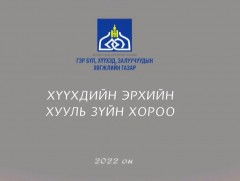 Хүүхдийн эрхийн хууль зүйн хороо