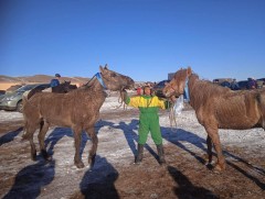 Аймгийн алдарт уяач Б.Насанболдын буурал азарга, нийслэлийн алдарт уяач Т.Ганболдын туулай хээр тү..