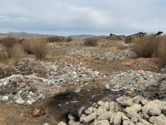 Туул гол орчимд 32 га талбайг хамарсан хур хогийн цэг үүсчээ