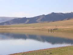 Улаагчны хар нуур татарч буй шалтгааныг тодорхойлох, хамгаалах ажлыг хэсэг байгуулна