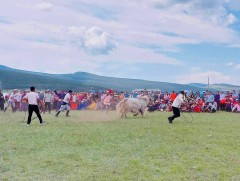 Сарлаг бугуйлдах тэмцээнээс...