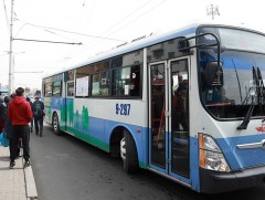 Наадмын өдрүүдэд нийтийн тээврийн 117 чиглэлд 695 автобус иргэдэд үйлчилнэ