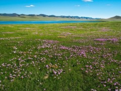 Ирэх сарын цаг агаарын ерөнхий төлөв
