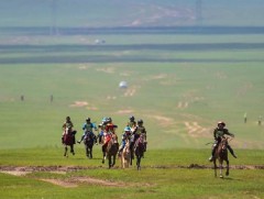 Хурдан даага гарааны зурхайгаас эргэлээ