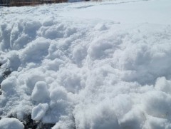 Говь-Алтай аймгийн Есөнбулаг, Эрдэнэ сумдын нутгаар 13 мм цас орлоо