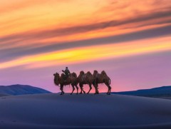 Есдүгээр сарын 20-нд 1778 жуулчин иржээ