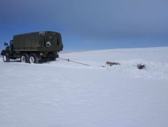 Цэргийн алба хаагчид гамшгийн нөхцөлд хүрсэн Иххэт суманд ажиллаж эхэллээ 