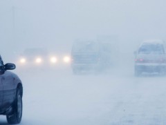 Хол замд гарахдаа мэргэжлийн байгууллагын зөвлөгөөг дагаж болзошгүй эрсдэлээс сэргийлнэ үү