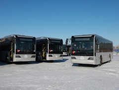 Шинэ автобуснууд үйлчилгээнд гарч эхэллээ 