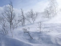 Амралтын өдрүүдэд ихэнх нутгаар хүйтэн, цасан шуургатай байна