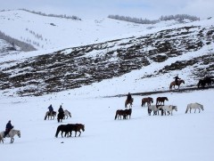 Малчдын 80 гаруй хувь нь банкны зээлтэй байна 