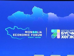 Монголын эдийн засгийн чуулган-Бүсчилсэн хөгжил хөтөлбөр /2024.02.01/