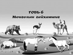 Эх дэлхийн цагийг “Говийн 6 гайхамшиг” санаачилгын хүрээнд зохион байгуулж байна