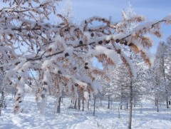 Энэ арав хоногт цаг агаар ямар байх вэ