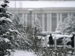Улаанбаатар хот орчмоор 0.5 мм цас оржээ