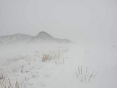 Өнгөрсөн шөнө Монгол-Алтайн уулсаар 0.3 мм ялимгүй цас оржээ