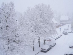 Финлянд болон Эстонид байгалийн гамшигт үзэгдэл болжээ 