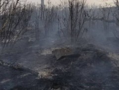 Ой хээрийн түймрээс сэргийлье 