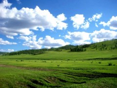 Нийт нутгийн 70 гаруй хувьд зуншлага сайн байна
