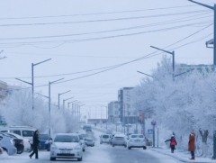 Дорноговь аймагт гэмт хэрэгт холбогдсон хүүхдийн тоо буурчээ 