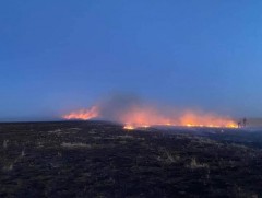 Дорнод аймагт 120 га талбай, Булганд 45 га талбай хээрийн түймэрт өртжээ