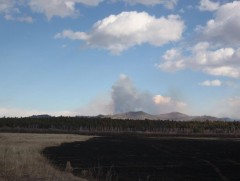 Сүүлийн 10 жилд бүртгэгдсэн ой, хээрийн түймрийн 54.2 хувь нь 4-6 сард тохиолдсон байна