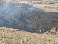 ​Нийслэлийн ногоон бүсийн ойн санд түймэр гарчээ