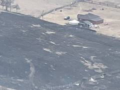 Баянзүрх дүүрэгт шар өвс шатсаны улмаас 12 га талбай өртөж шатжээ