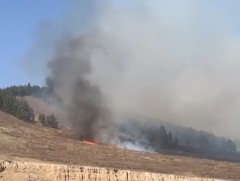 Сэлэнгэ аймагт гарсан ойн түймрийг унтраахаар ажиллаж байна