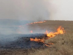 Ой, хээрийн түймрийн аюулаас урьдчилан сэргийлье
