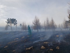 Улсын хэмжээнд ой, хээрийн 82 түймэр бүртгэгджээ