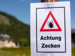 Германд дулааны улирал эхэлж, хачигт халдвараас сэрэмжлүүлжээ