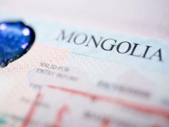 2025 оны байдлаар виз, визийн зөвшөөрөл олголт 98.1 хувьтай байна