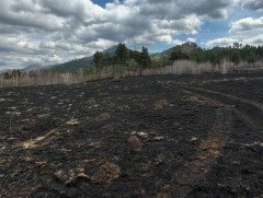 Түймрийн эрсдэлийн зураглалыг нэгтгэн гаргалаа