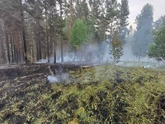 Дархан-Уул аймагт гарсан ойн түймрийг бүрэн унтраажээ