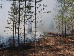 Сэлэнгэ аймагт ой хээрийн 5 түймэр гараад байна