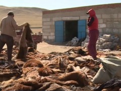 Хөдөө аж ахуйн салбарын харилцааг хуулийн нэгдсэн зохицуулалттай болгох эсэх талаар яригдаж байна