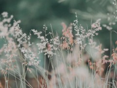 ЦАГ АГААР: Улаанбаатарт өдөртөө 16 хэм дулаан