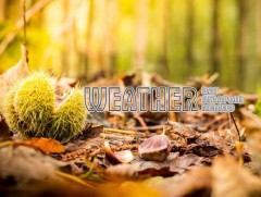 ЦАГ АГААР: Улаанбаатарт өдөртөө 22 хэм дулаан