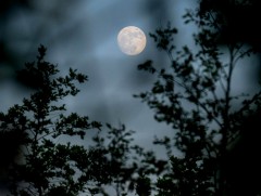 ЦАГ АГААР: Улаанбаатарт шөнөдөө 8 хэм дулаан