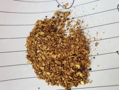 Хууль бус алт олборлогчдыг шалгана