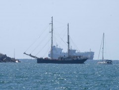 Израил хүмүүнлэгийн хөлөг онгоцуудыг саатуулсан нь олон улсад эсэргүүцэл дагуулав 