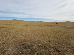 Энэ сарын дунд 10 хоног хамгийн сэрүүн өдрүүд боллоо 