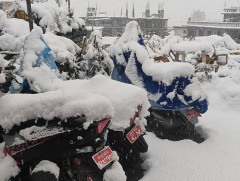 Хималайд их хэмжээний цас орсны улмаас Балба, Төвөдийн бүсэд аялал жуулчлалыг хязгаарлажээ