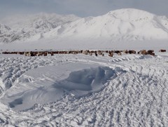 Зудын эрсдэлийг урьдчилан тооцож, хамгаалах тогтолцоог улам бэхжүүлэх нь чухал байна 